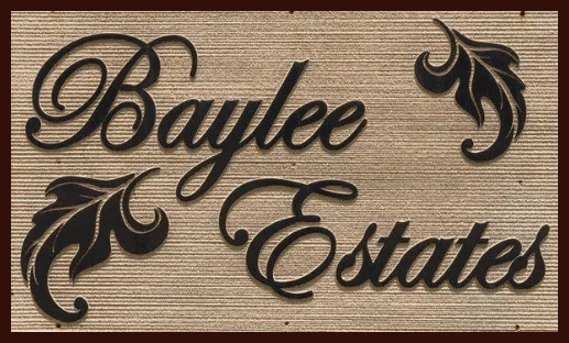 Baylee estates new home community in Galivants Ferry near Aynor